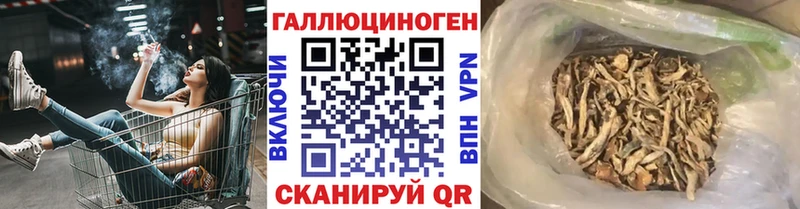 Галлюциногенные грибы мицелий  Ясный 