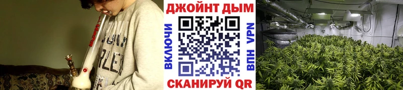 ОМГ ОМГ зеркало Ясный Бошки марихуана марихуана где можно купить наркотик